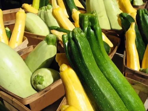 棱瓜哪里吃的多,探寻我国各地美食中的“绿色宝藏”