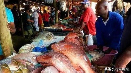 吃海货和吃线瓜没事吧,探寻健康饮食的奥秘