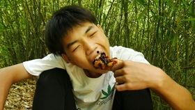 吃瓜网友小杰,揭秘娱乐圈那些不为人知的幕后故事