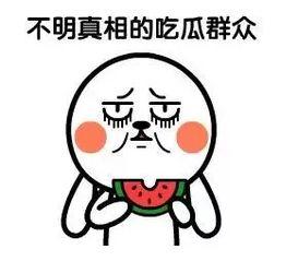 吃瓜都用什么网络用语,揭秘网络吃瓜用语背后的趣味与智慧