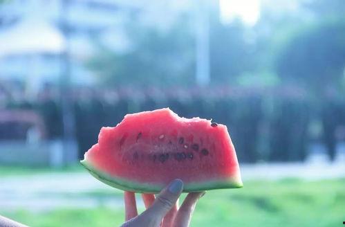 安静的地方吃瓜