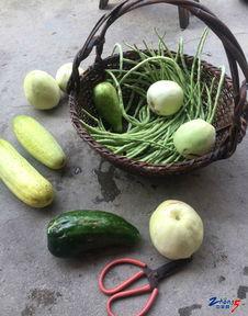 安静的地方吃瓜