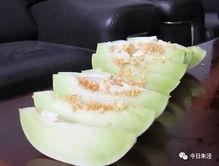 今起吃瓜,揭秘娱乐圈最新热点事件