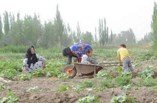 家乡美景吃瓜群众