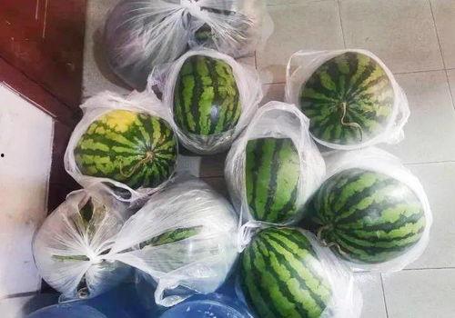 癞子瓜可以吃吗,能否食用及营养价值揭秘