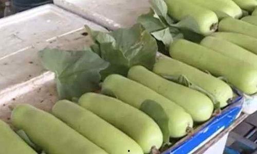 四人pk 吃瓜,吃瓜群众见证历史性对决