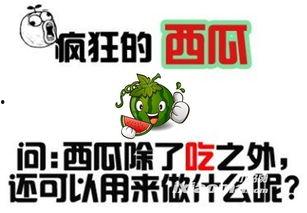 吃瓜网站怎么登,轻松一招，畅享瓜界盛宴