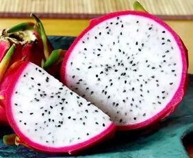 月子期吃火龙果和哈密瓜,月子期间火龙果与哈密瓜的营养搭配与食用建议