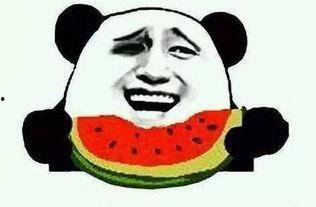 吃瓜看感情,吃瓜群众视角下的感情世界揭秘