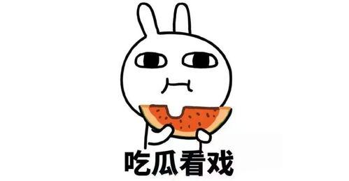 吃瓜看感情,吃瓜群众视角下的感情世界揭秘