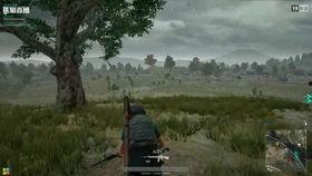 吃鸡吃瓜直播间怎么进