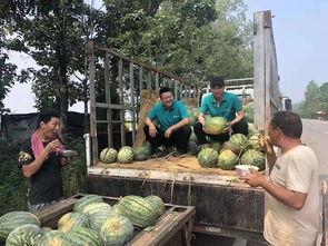 吃瓜吧精彩不断,娱乐圈风云变幻