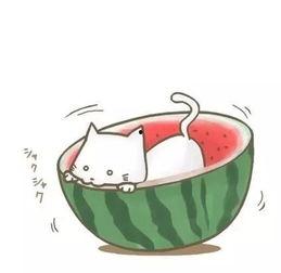 吃瓜吧精彩不断,娱乐圈风云变幻