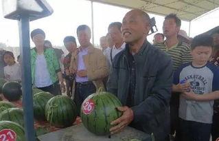 伏拉夫吃瓜群众,吃瓜群众的智慧与趣味