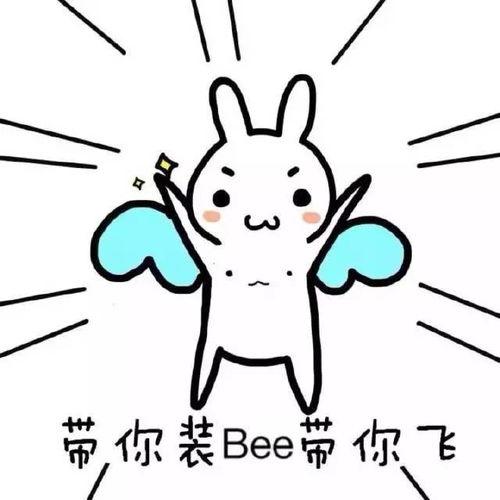 带你吃瓜评论准备吃席,揭秘吃席背后的文化盛宴