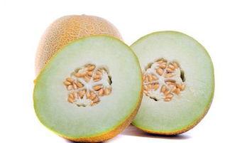怀孕期间可以吃哈密瓜,哈密瓜助力母婴健康