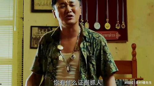 探长吃瓜影视说剧,揭秘影视剧中那些鲜为人知的幕后故事