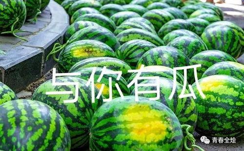 大学最新吃瓜,一网打尽校园风云录