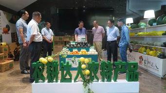 会昌法院吃瓜,一场意外的舆论风暴