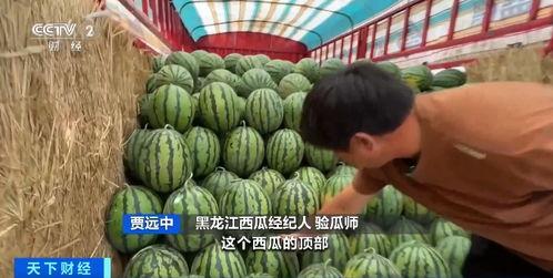 查验吃瓜,吃瓜群众眼中的查验风云