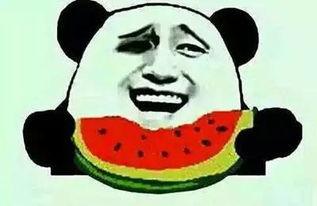 喜子吃瓜,揭秘瓜界风云人物