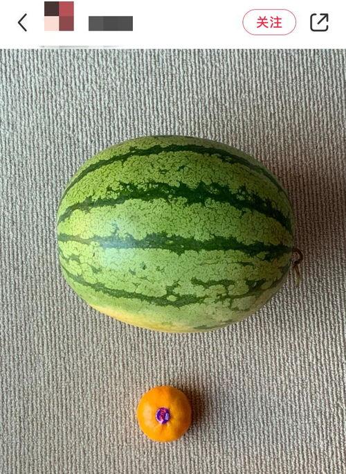 重全吃瓜,揭秘娱乐圈幕后真相