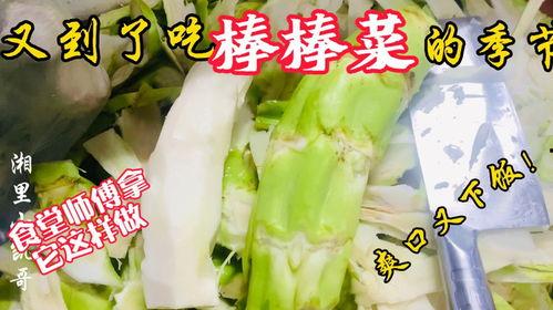 鹿泉 老师 吃瓜