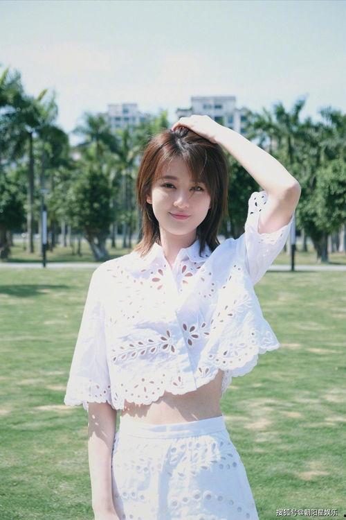 吃瓜沈迪,揭秘娱乐圈背后的故事与真相