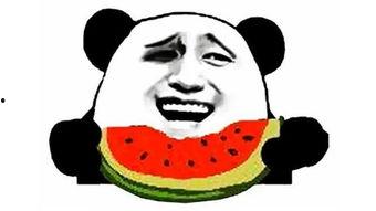 吃瓜摇扇纳凉视频