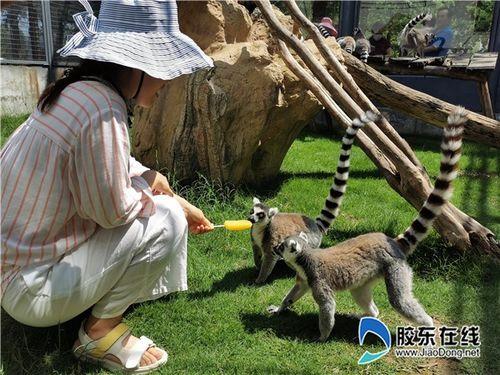 南山公园吃瓜,畅享清凉时光