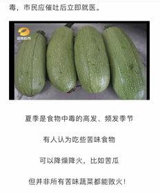 瓜瓜吃瓜