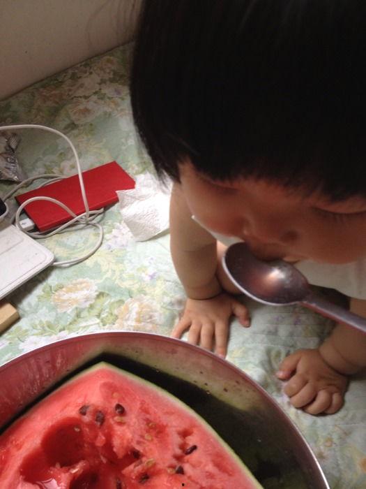 萌小锅吃瓜