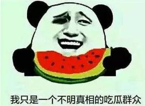 吃瓜群众的昵称,网络时代的围观力量