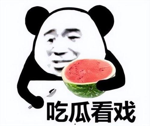 表情包女孩吃瓜,表情包女孩的吃瓜日常